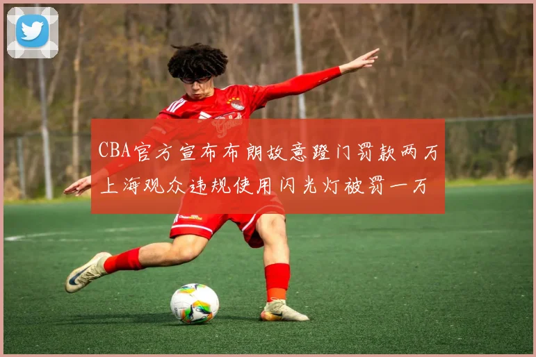 CBA官方宣布布朗故意蹬门罚款两万上海观众违规使用闪光灯被罚一万