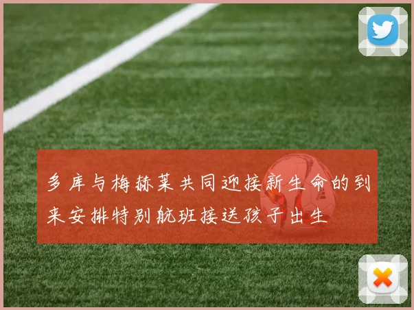 多库与梅赫莱共同迎接新生命的到来安排特别航班接送孩子出生