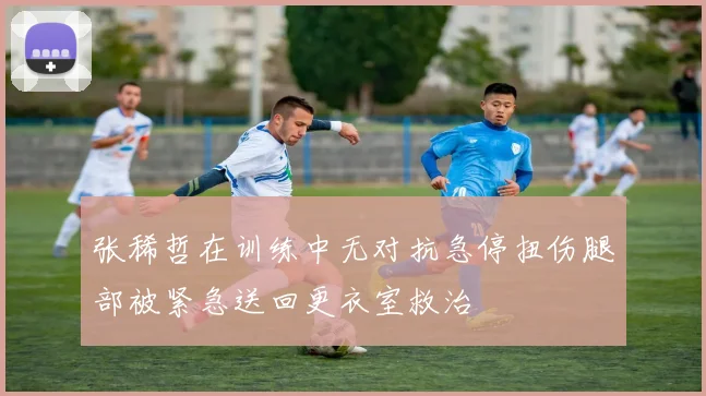 张稀哲在训练中无对抗急停扭伤腿部被紧急送回更衣室救治
